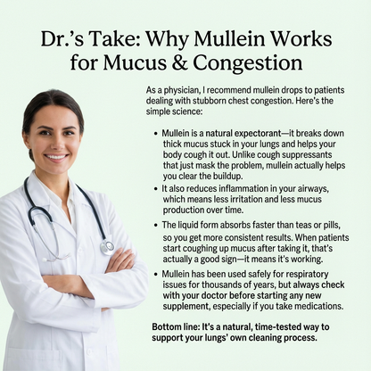 Doctor's take — why mullein works for mucus and congestion