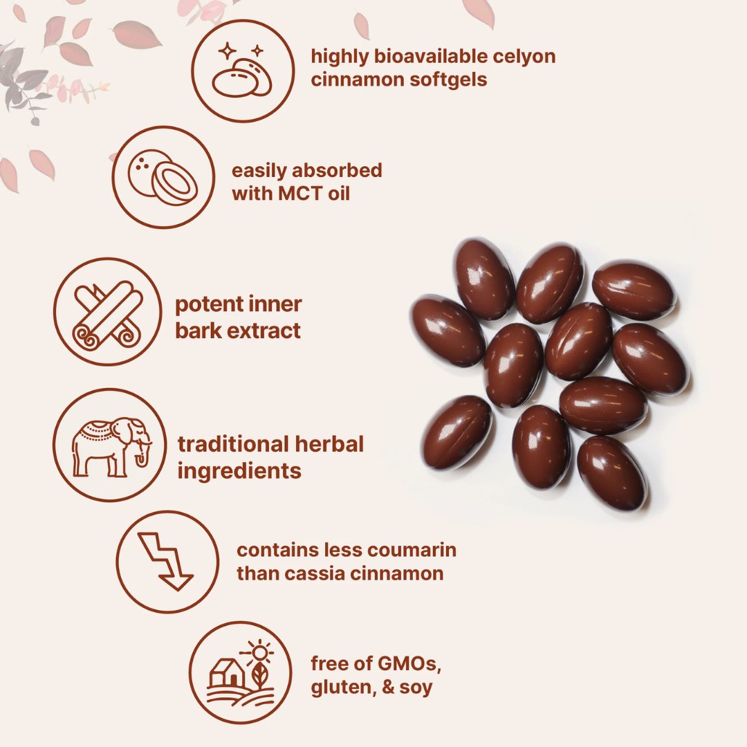 How the Ceylon cinnamon softgel works: bioavailable extract, MCT absorption, low coumarin