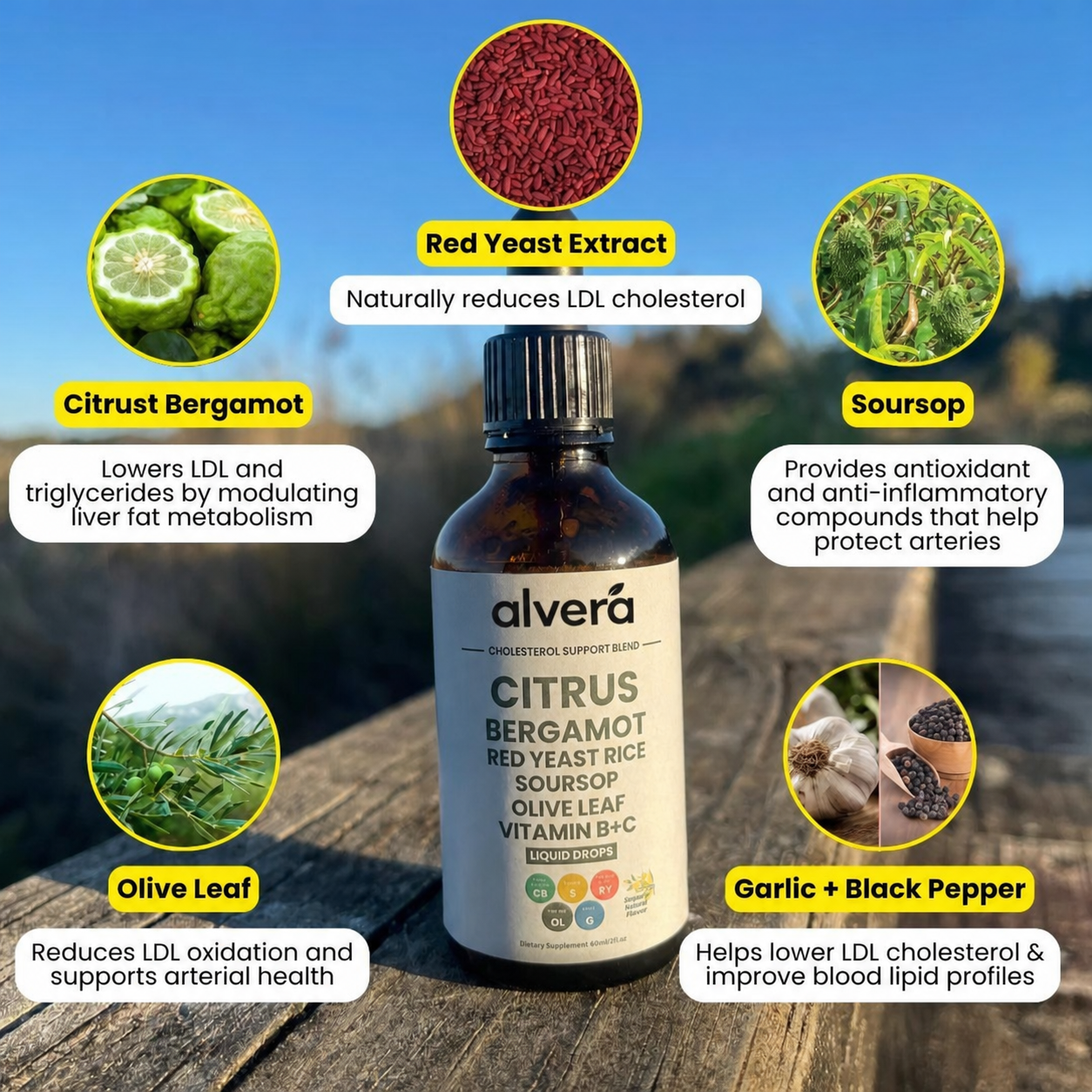 The six extracts - red yeast rice, citrus bergamot, soursop, olive leaf, garlic and black pepper