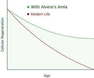 The Missing Pathway: Why Your Liver Hoards Cholesterol