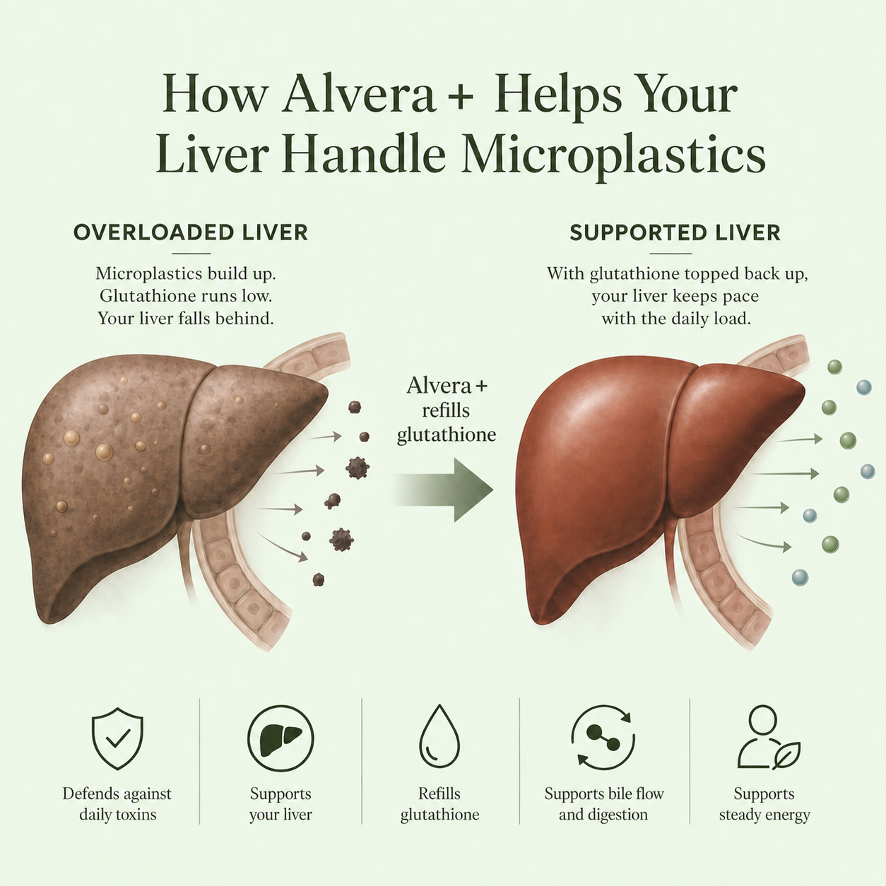 Comprehensive Liver Detox 20:1