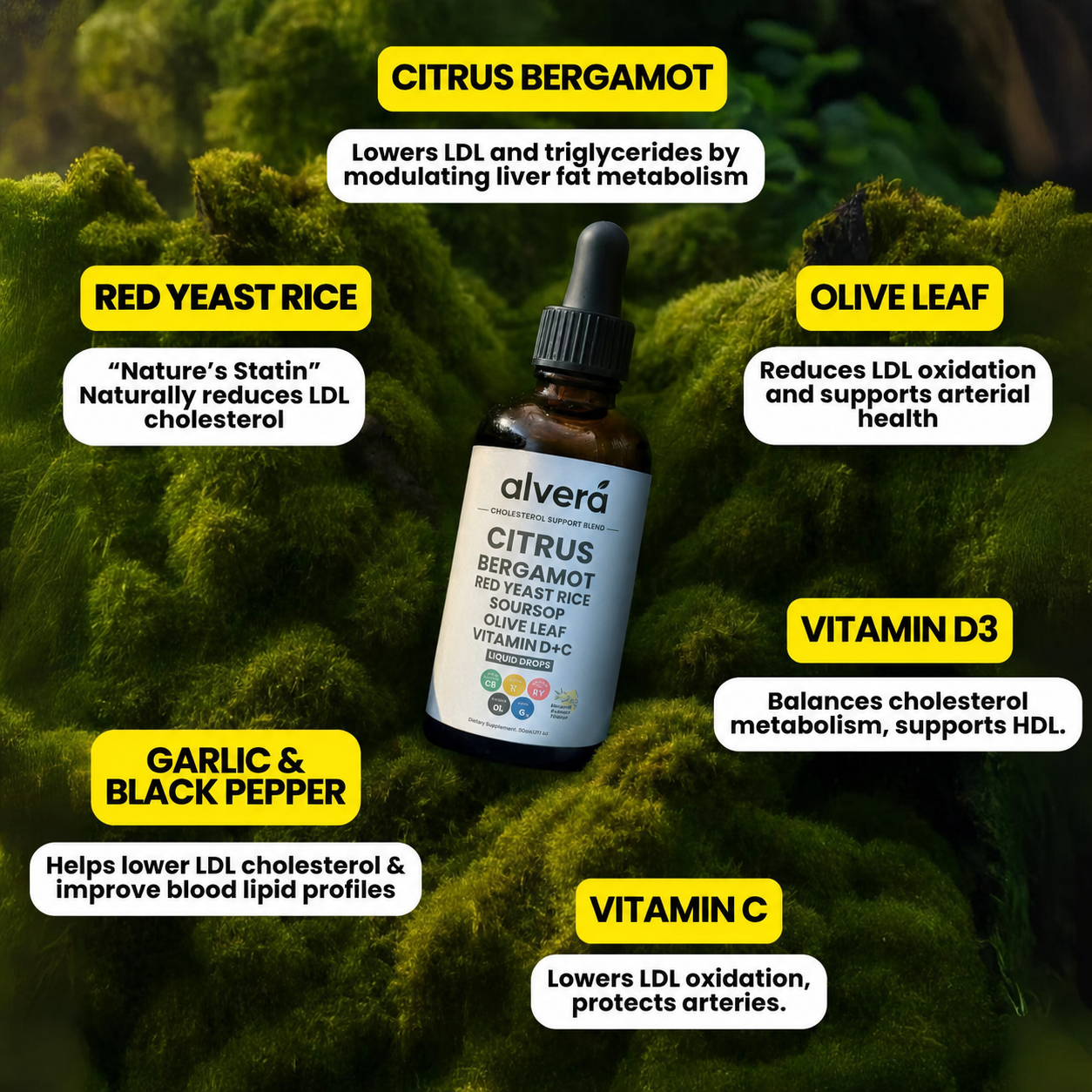 Red Yeast Rice Cholesterol Cleanse ingredients